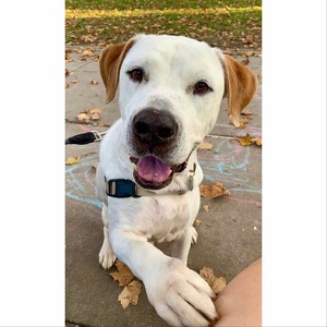 Fundraising Page: Paco PAC Alum